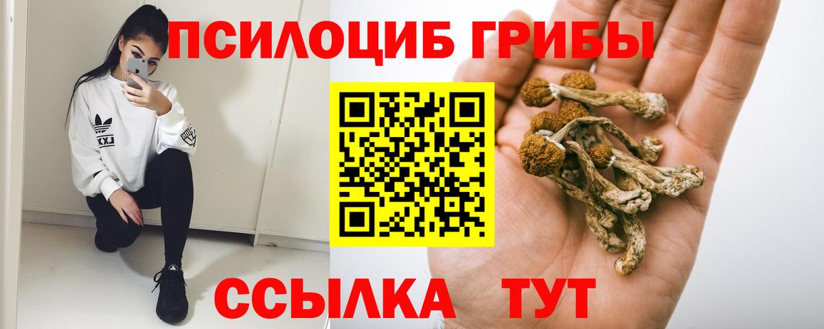 Галлюциногенные грибы мухоморы  купить наркотик  Ишим  Вход с VPN  Галлюциногенные грибы Psilocybine cubensis 